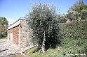 VBS_7181 - PressTour educational dedicato ai vini del Pinerolese e all’olio prodotto sulla collina di Pinerolo